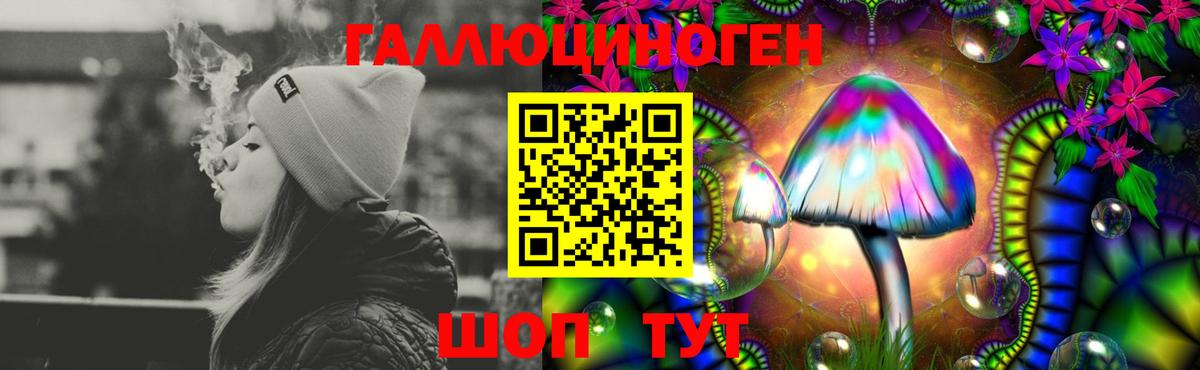 Чистополь  Псилоцибиновые грибы Cubensis  Вход с VPN 